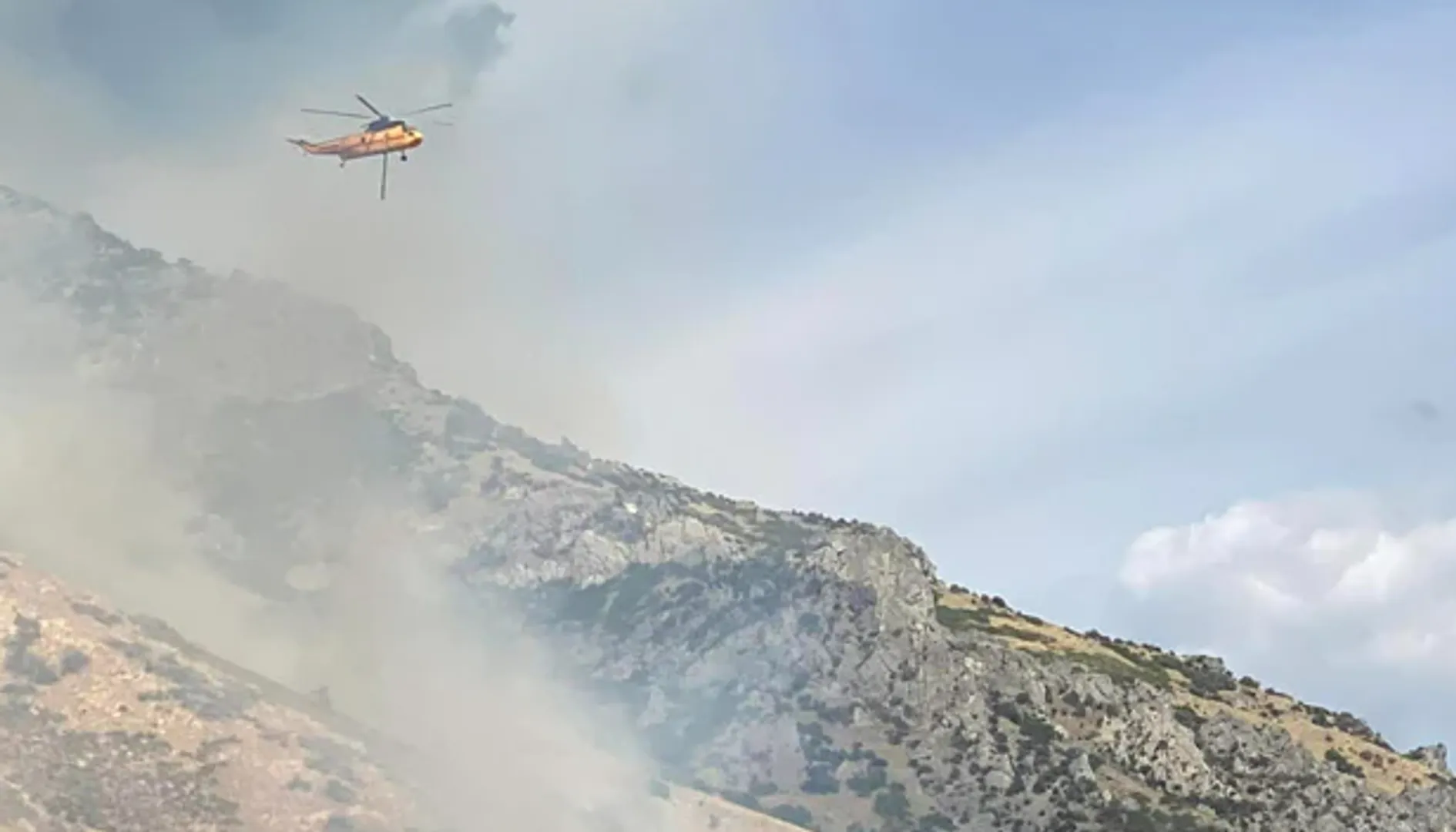Man high on Marijuana tries to kill spider using lighter, starts wildfire instead