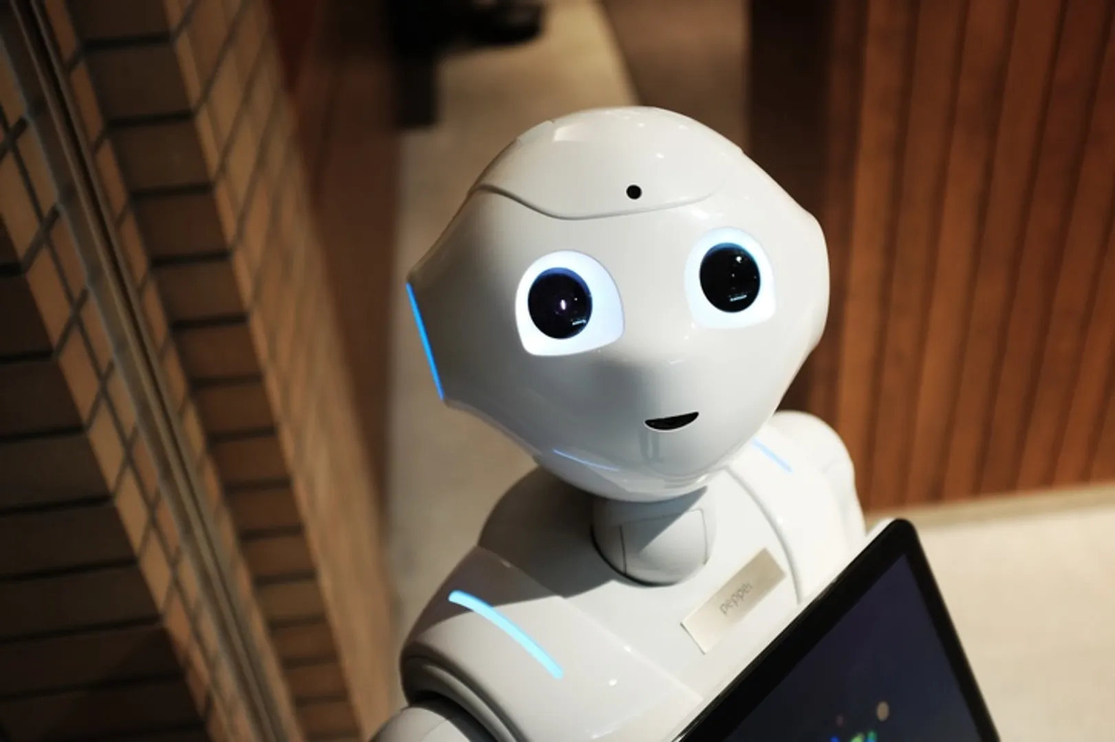 Chicago-based law firm sues AI robot lawyer for practicing without a license