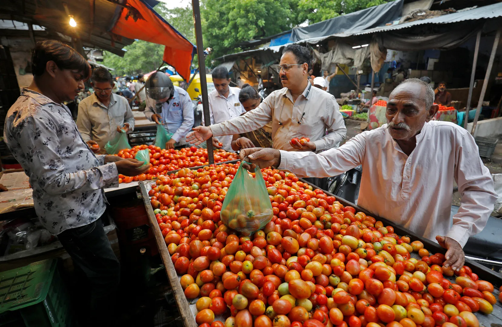 Finance ministry predicts stabilised food prices amidst ongoing inflationary pressures: What it means for the economy