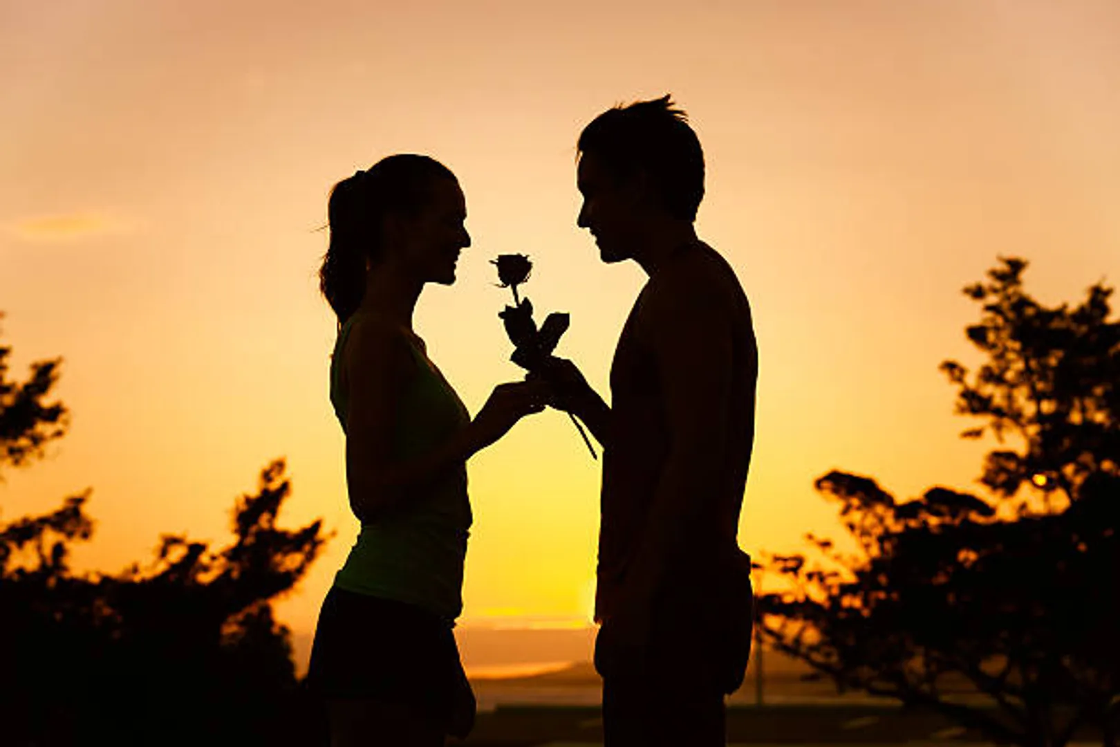 Man giving woman a rose. (romance and dating concepts)