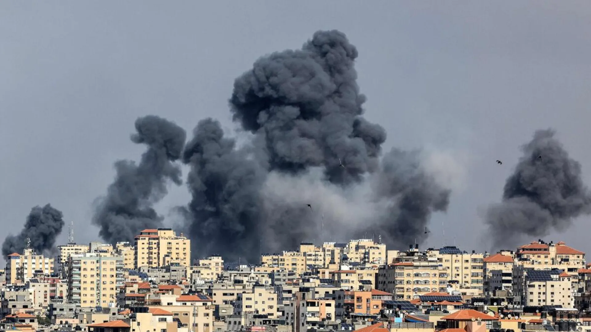 Overview of the Israel-Palestine Conflict | State of War