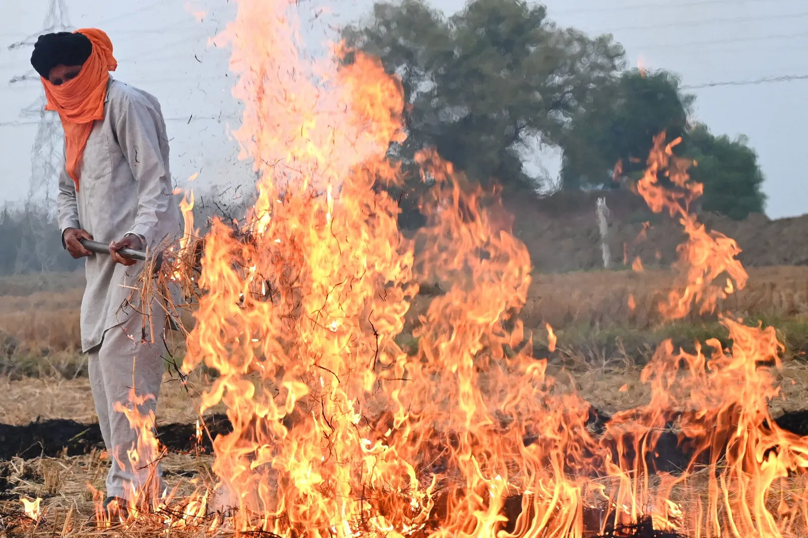 Stubble burning continues after Diwali, while Indian cities choke from pollution