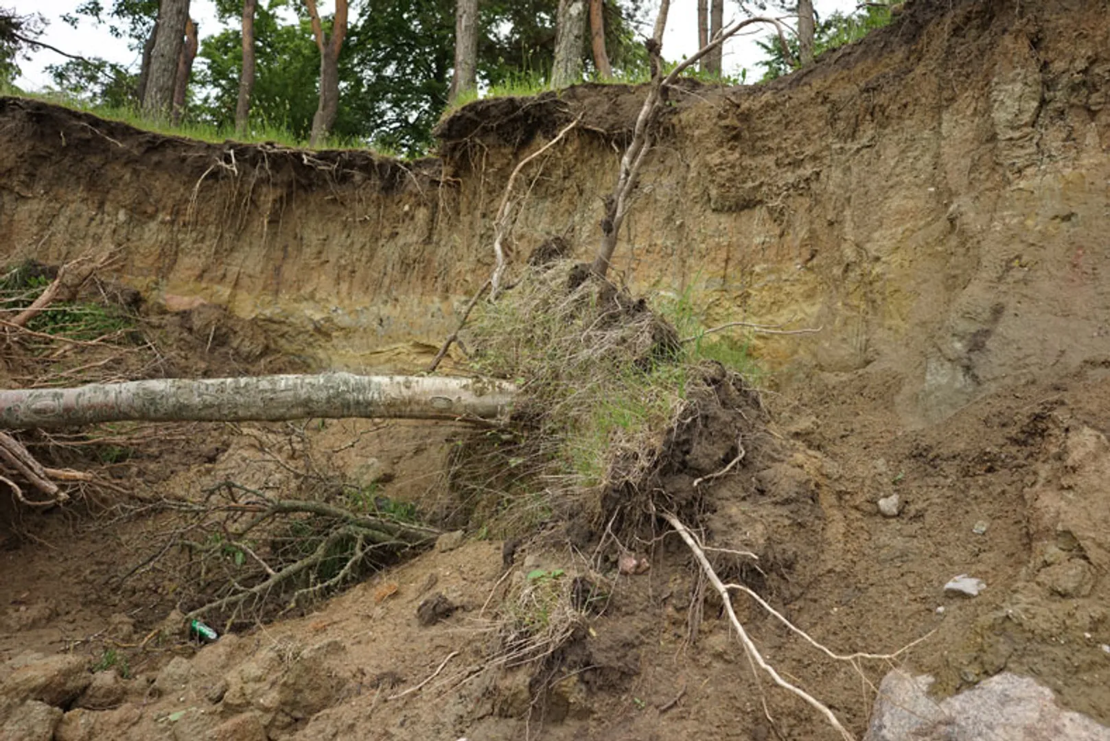 New Research exposes disturbing surge in soil erosion across western ghats, with Tamil Nadu facing highest losses