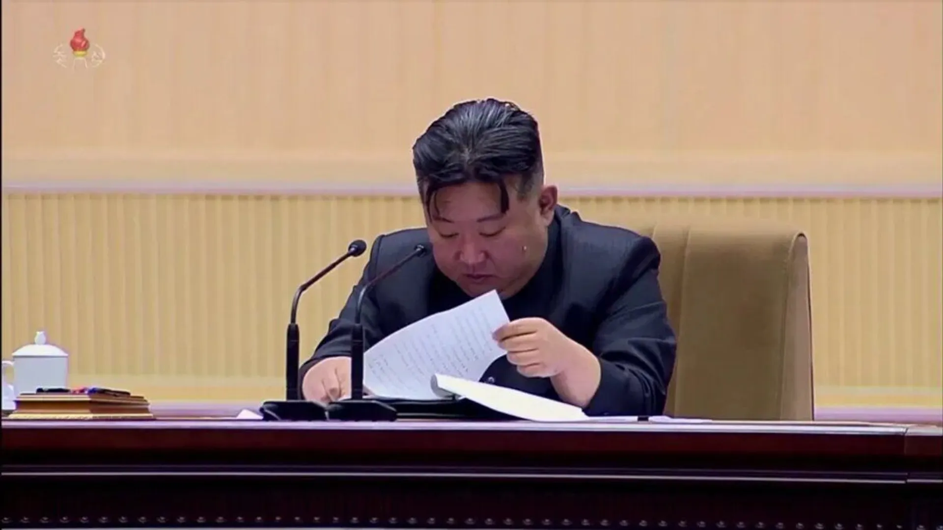 Kim Jong Un sobs as he encourages women to have more babies