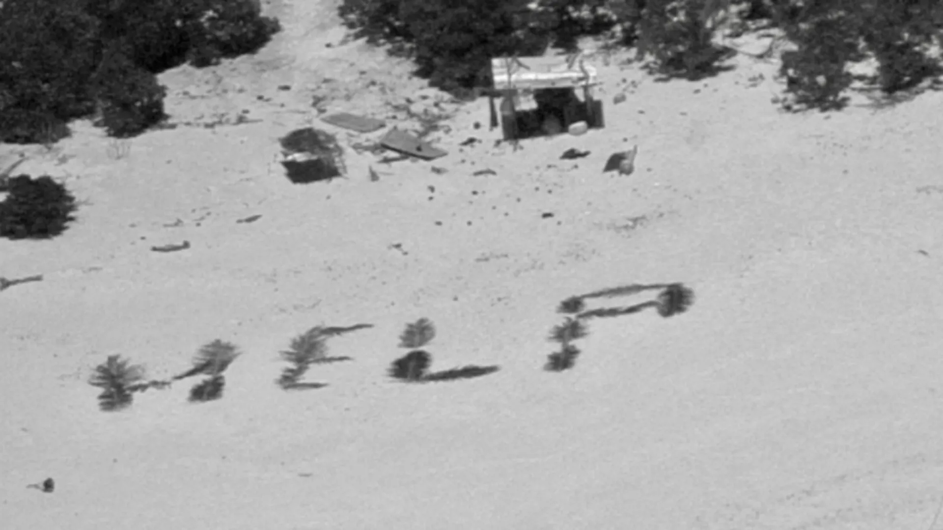 Castaways rescued from remote Pacific island after writing 'Help' with palm leaves