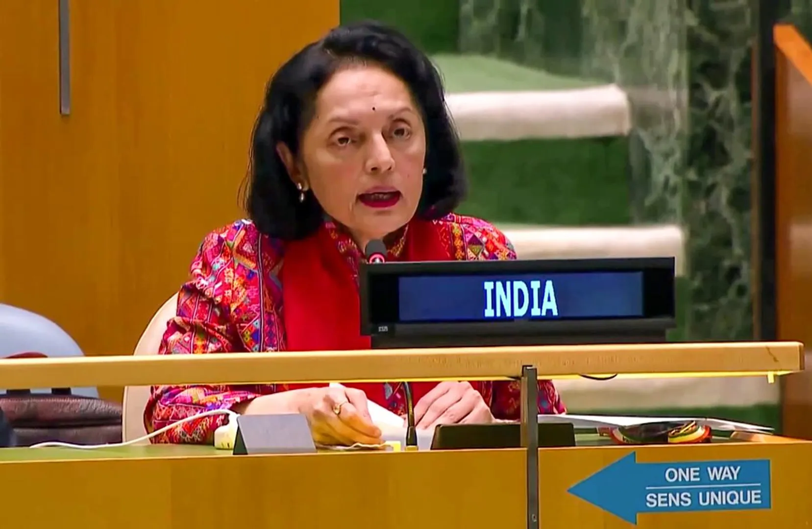 'Harbours most dubious track record’: India criticizes Pakistan's remarks at UN
