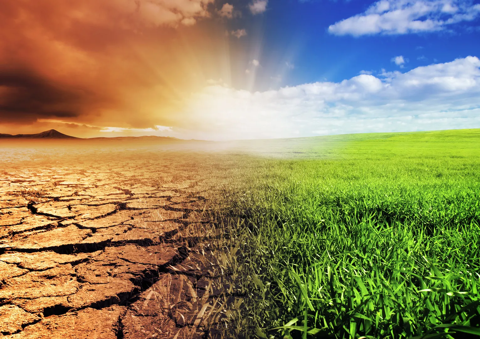 Climate change made heatwaves