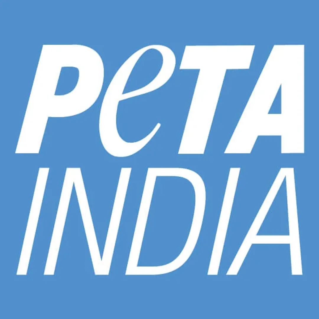 PETA India responds to outrage over video of Manipur man shooting cow twice in head