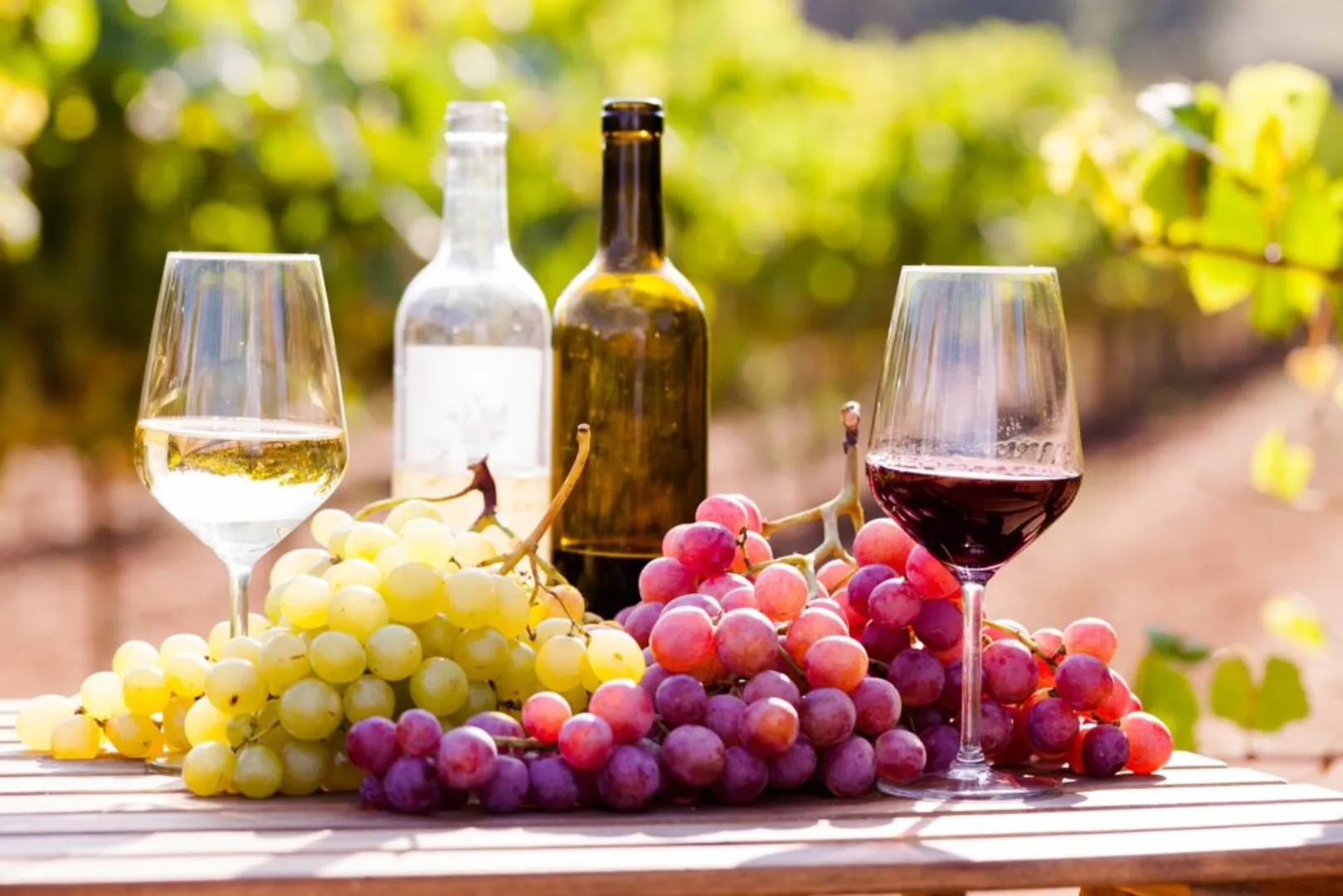 The Global spread of grapes and wine was led by the extinction of dinosaurs