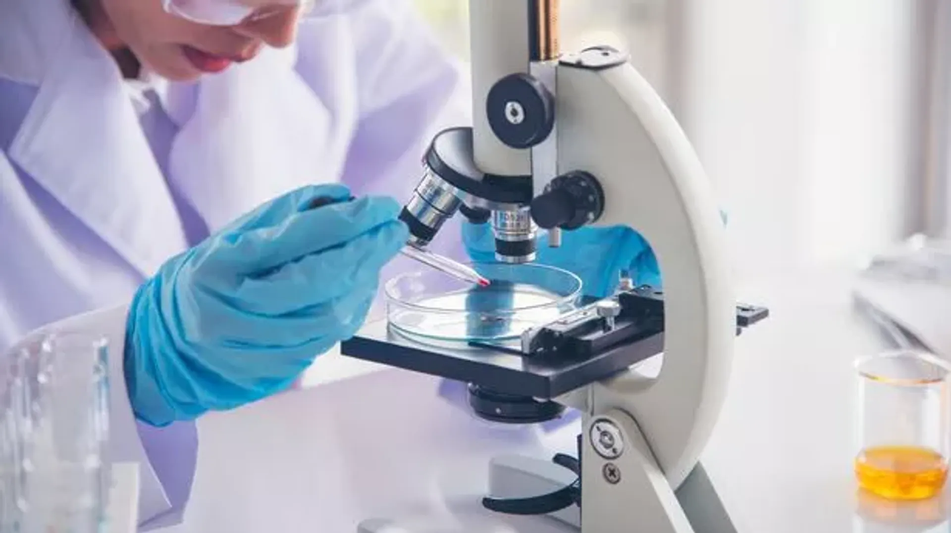 Chinese scientists have make significant discovery to manage obesity