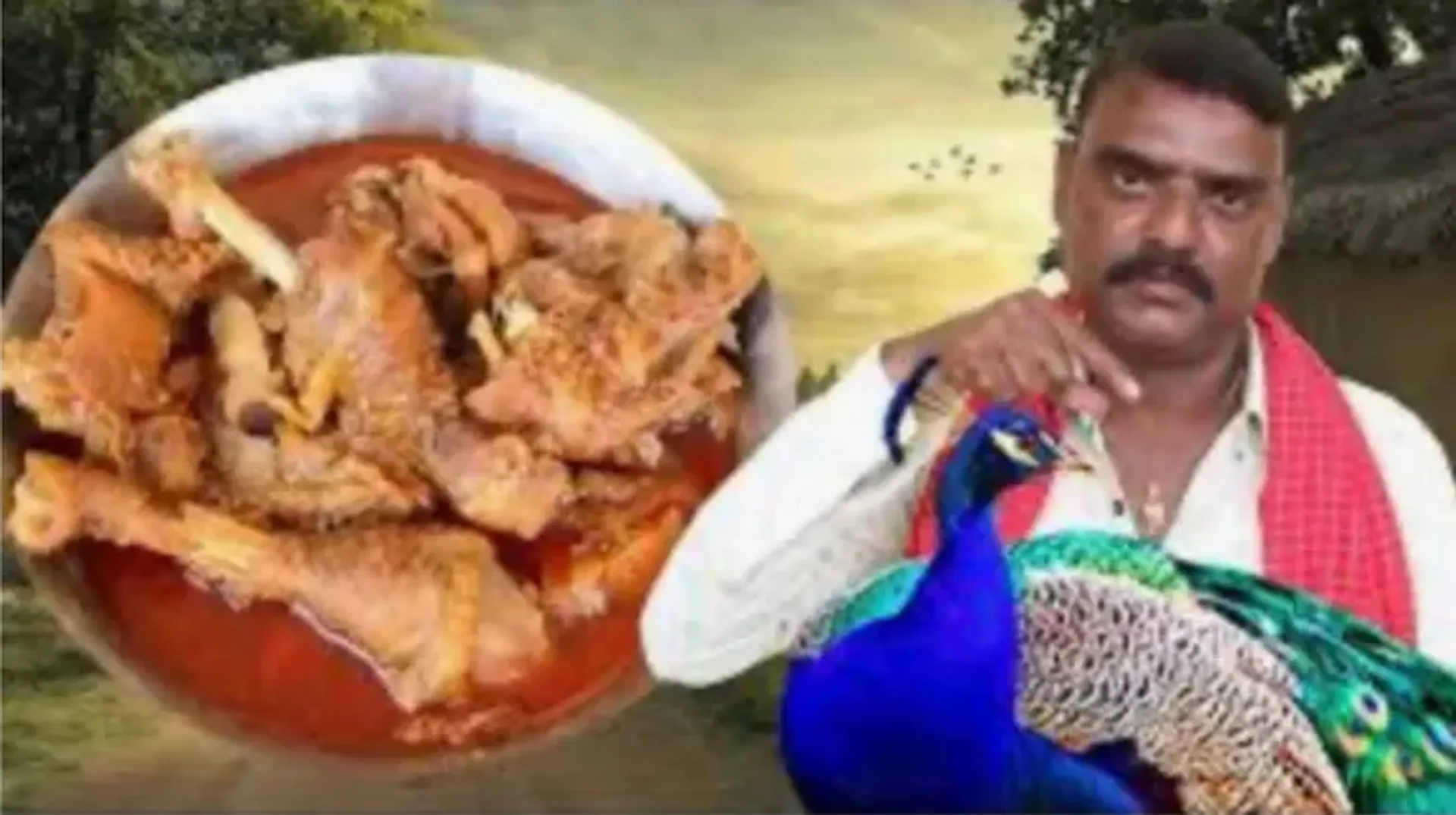 Peacock Curry Recipe Controversy: YouTuber in Telangana booked for misleading video