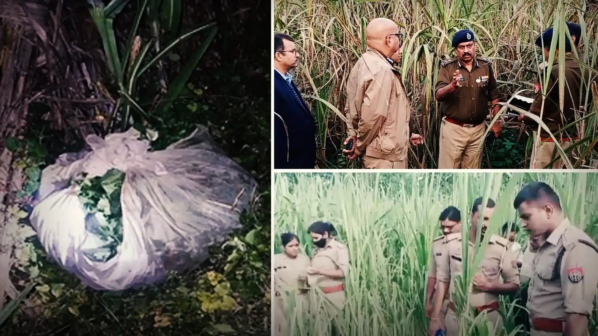 Serial killer suspected in alarming string of nine murders targeting women