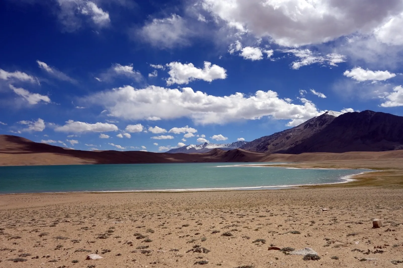 Ladakh-48