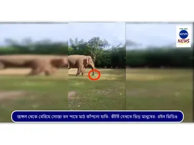 WhatsApp Image 2025-07-27 at 13.47.59 (1)