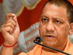 yogi
