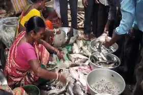 ভাতৃদ্বিতীয়ায় মাছের বাজারে উপচে পড়া ভিড়, উল্টো ছবি মাংসের দোকানে