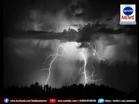 delhi we