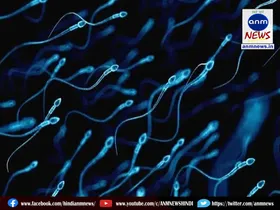 Sperm