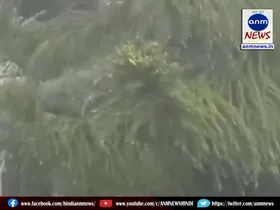 rain