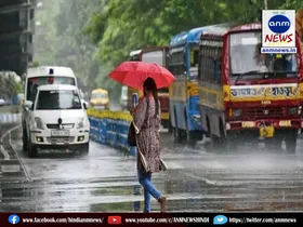 weather