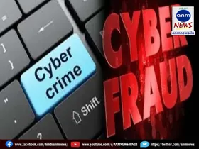 cyber crime
