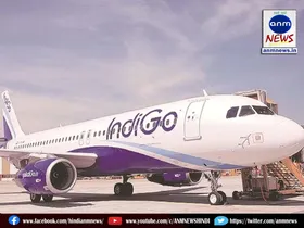 indigo