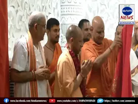 yogi
