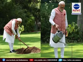 modi