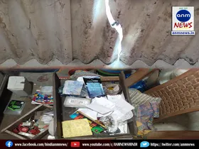Thieves broke into two shops by breaking the roof