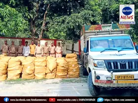 Artificial human organs worth Rs 2 crore seized