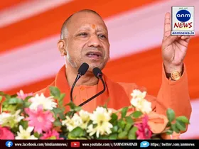 yogi