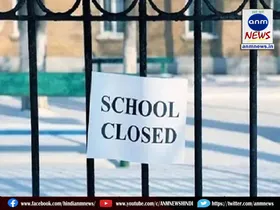 school