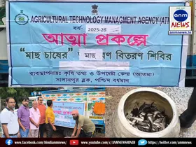 Fish feed provided