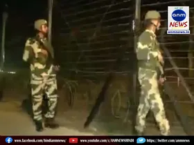 bsf