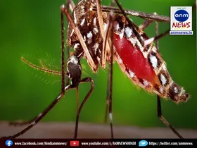 Malaria