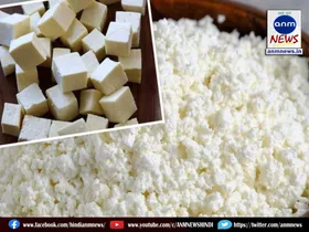 paneer