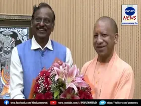 yogi