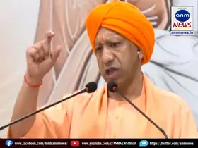 yogi