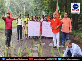bjp