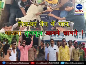 Cow in pickup van and BJP vs Trinamool