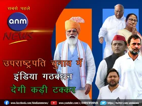Vice president election