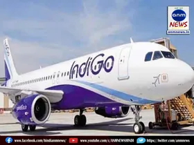 IndiGo