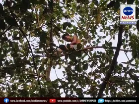durgapur news
