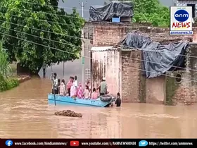 Punjab news