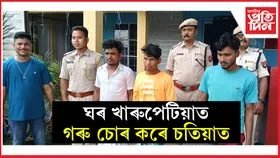 চতিয়াত গৰু চুৰি কৰা দৰঙৰ ৩ গৰু চোৰক গ্ৰেপ্তাৰঃ আন্তঃৰাষ্ট্ৰীয় চোৰাং সৰবৰাহকাৰীৰে আছে সম্পৰ্ক