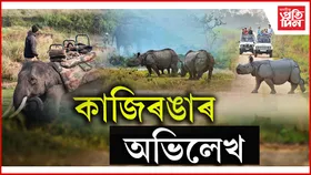 সৰ্বাধিক পৰ্যটকে পৰিদৰ্শন কৰা ৰাষ্ট্ৰীয় উদ্যানৰ তালিকাত কাজিৰঙা...
