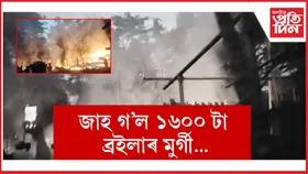 জাজৰিৰ খালৈগাঁৱত ভয়ংকৰ অগ্নিকাণ্ড...