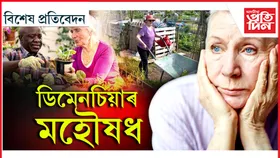 বাগিচা, কৃষি পামে সলনি কৰিব পাৰে জীৱন...