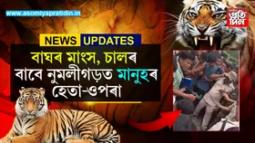 দাঁত, নেগুৰ একোৱেই নাই! নুমলীগড়ত ঢেঁকীয়াপতীয়া বাঘৰ মঙহ বিচাৰি মানুহৰ ভিৰ...
