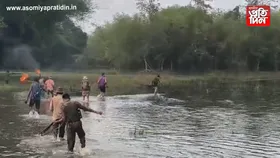 দক্ষিণ কামৰূপত হাতীৰ উপদ্ৰৱৰ বাবে লকডাউন সদৃশ পৰিৱেশ...